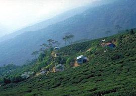 Clarico-Slider Style 4