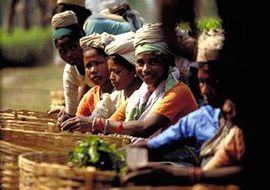 Clarico-Slider Style 4