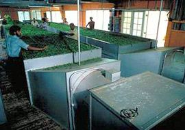 Clarico-Slider Style 4