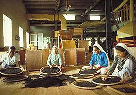 Clarico-Slider Style 4