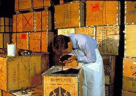 Clarico-Slider Style 4