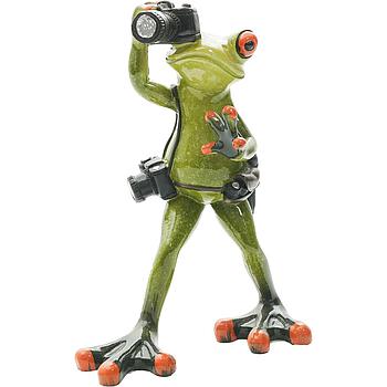 Frosch Fotograf hellgrün       