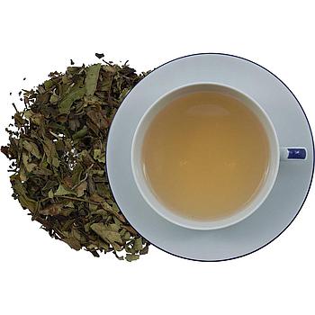 China Pai Mu Tan aus Bio-Anbau