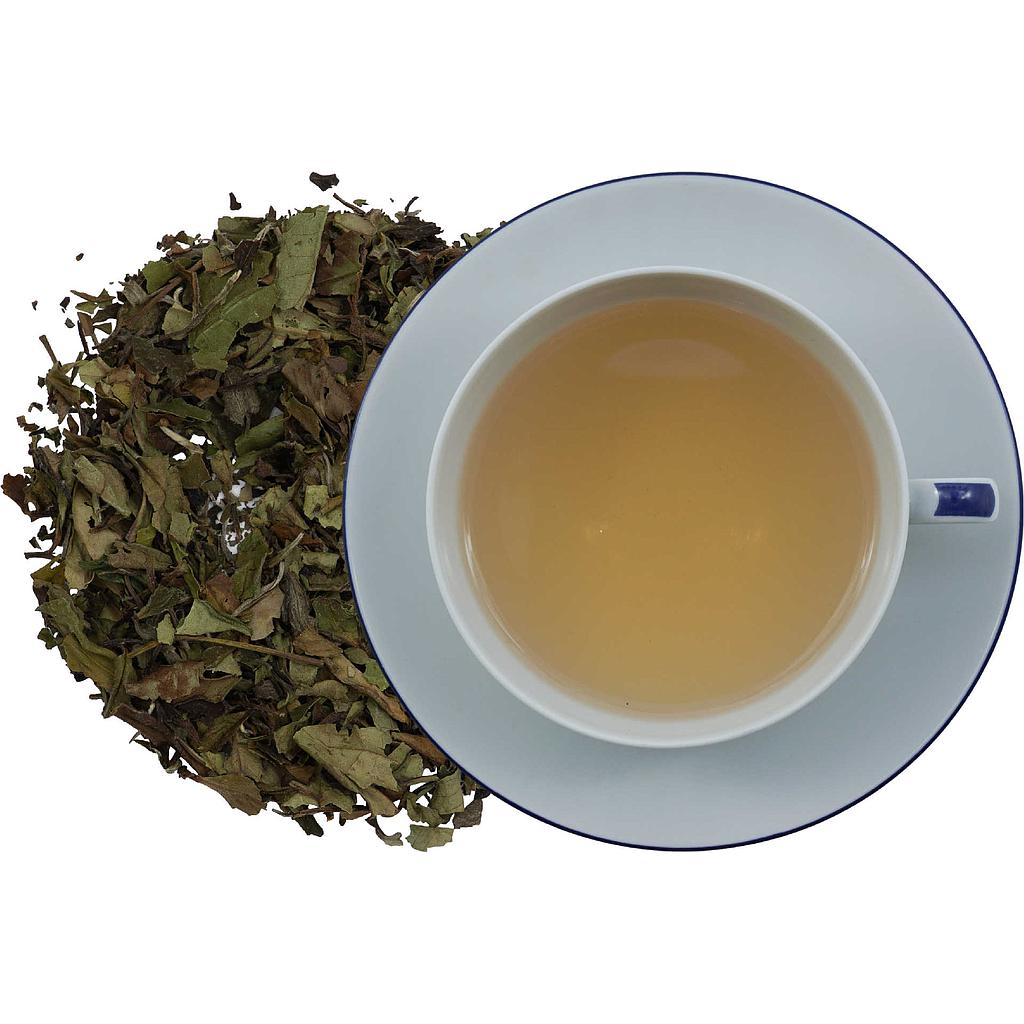 China Pai Mu Tan aus Bio-Anbau