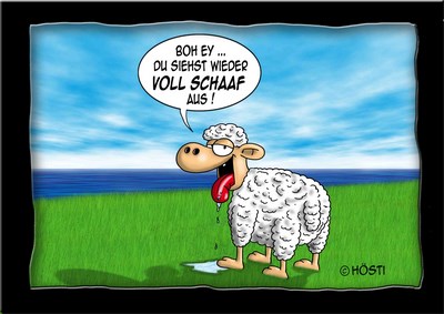 Hösti Postkarte &quot;Voll Schaaf&quot;