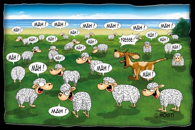 Hösti Postkarte Fresse!