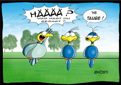 Hösti Postkarte Taube