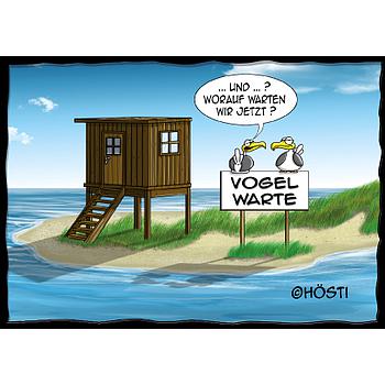 Hösti Postkarte "Vogelwarte"