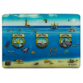 Hösti Foto Magnet ca.8x5cm Bullauge Moin Moin Moin