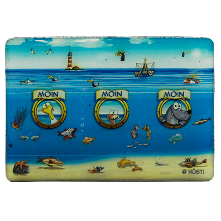 Hösti Foto Magnet ca.8x5cm Bullauge Moin Moin Moin