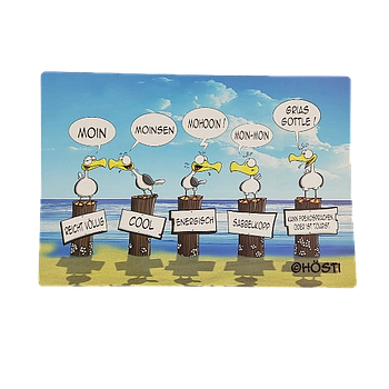 Hösti Platzset Moinsen   ca. 44x30cm Kunststoff