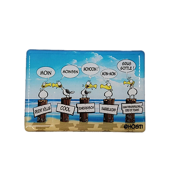 Hösti Foto Magnet ca.8x5cm Moinsen