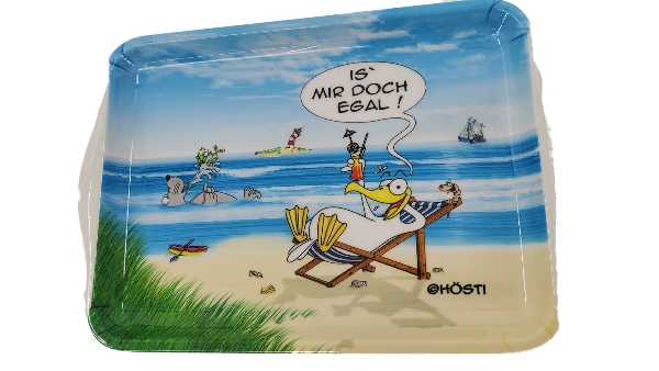 Hösti Tablett Melamin 21x14,5cm Is mir doch egal